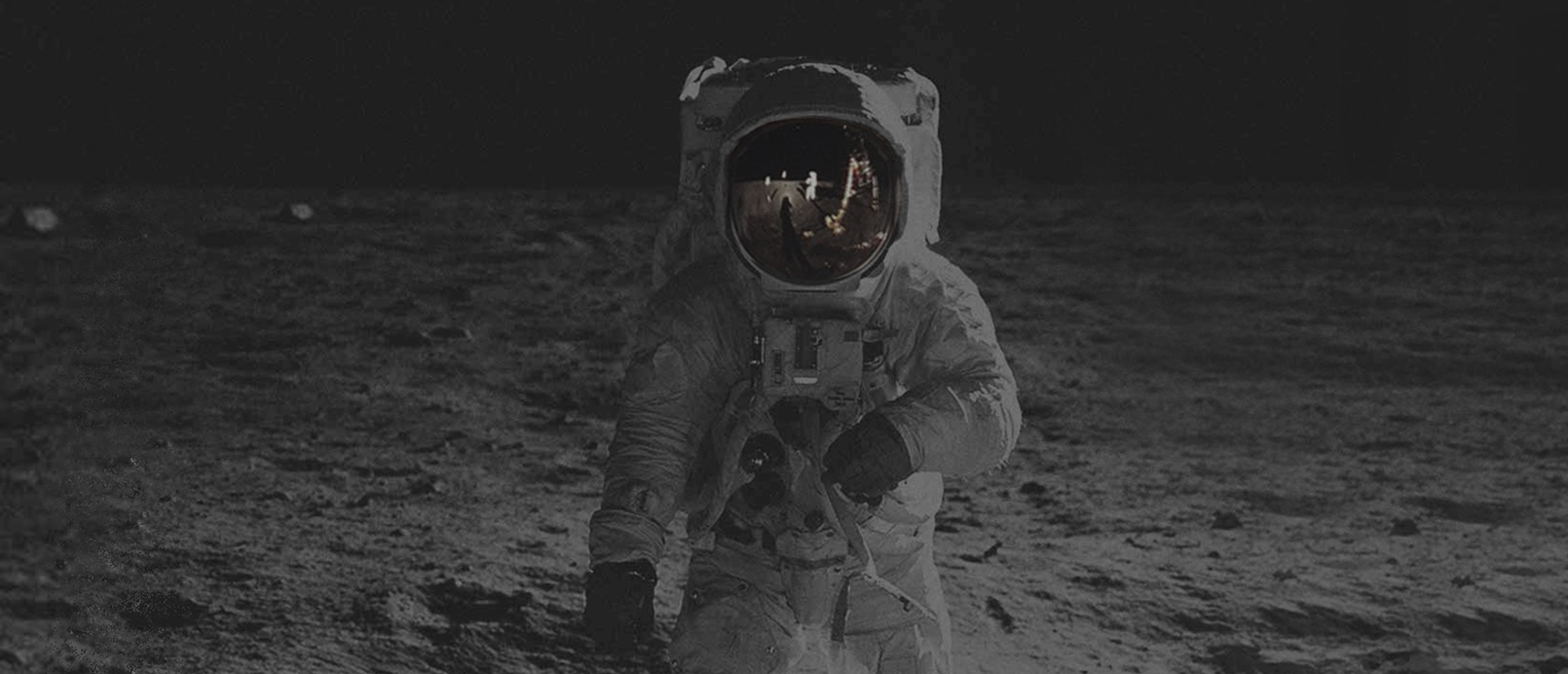 南京工业设计浅谈什么是仿生设计